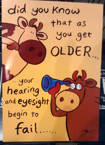 Funny birthday card with cows