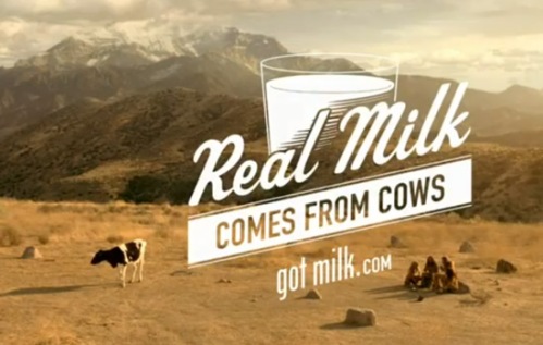 got_milk_cow2.jpg?w=500