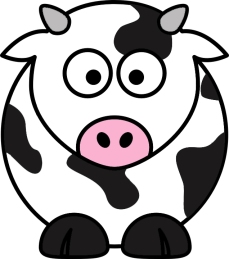 Cow Daily